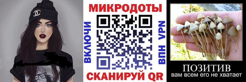 Галлюциногенные грибы ЛСД  mega сайт  Лакинск 
